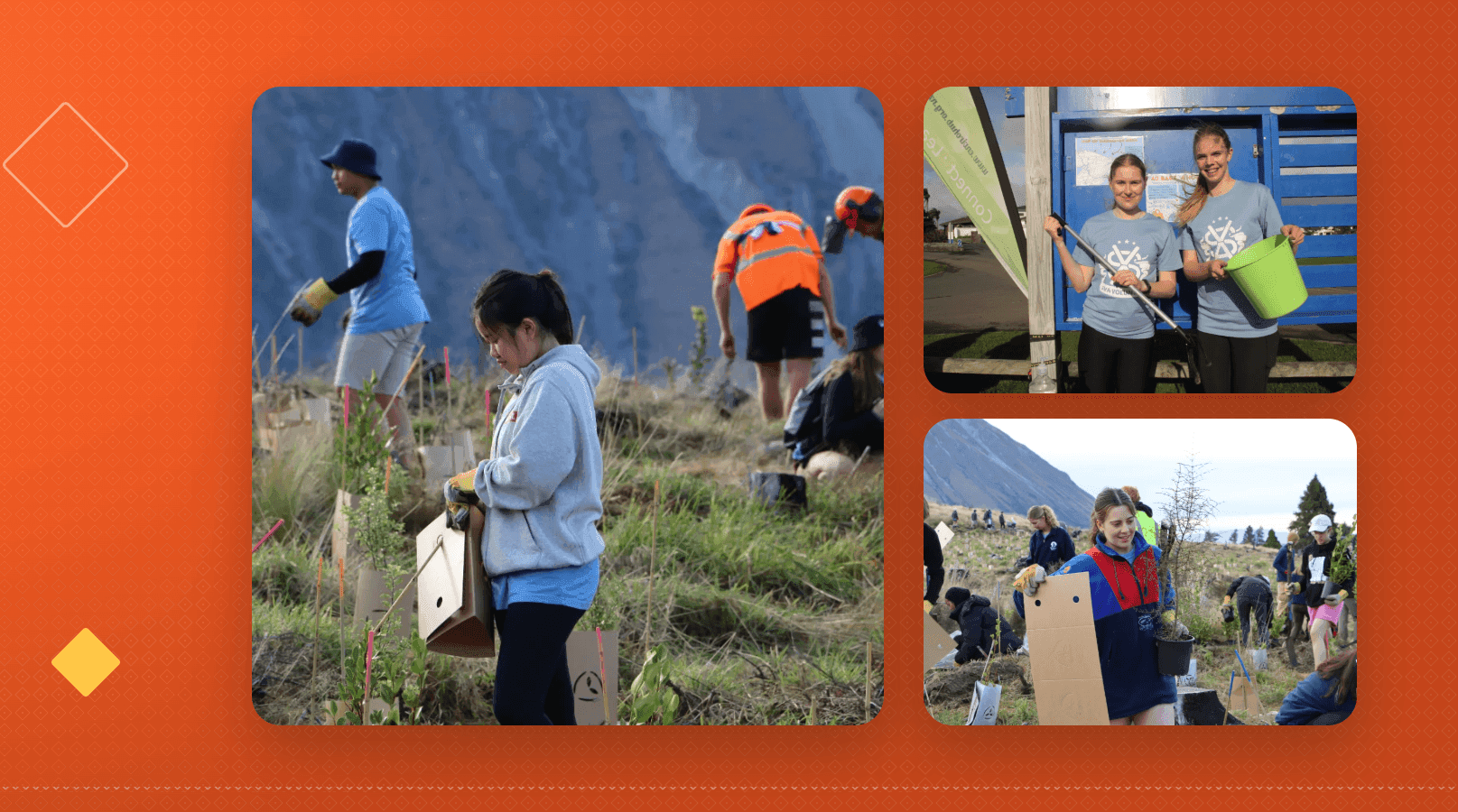 Volunteer-A-Thon Is Here!  Help us reach 1000 Hours